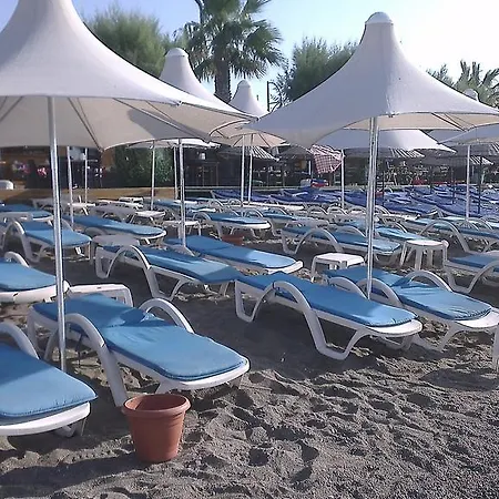 Florida Αλικαρνασσός