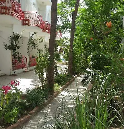 Florida Αλικαρνασσός