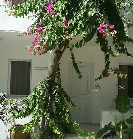 Florida Αλικαρνασσός